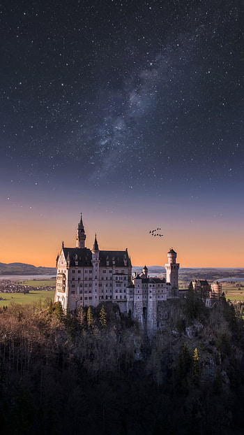Neuschwanstein castle, Starry sky, , Lush landscapes HD phone wallpaper