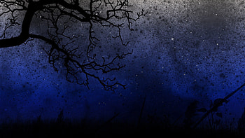 Trees, Sky, Night, Dark HD wallpaper