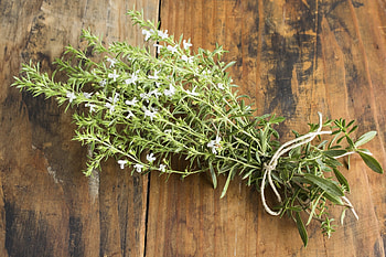 Winter Savory, Cooking, Summer savory, Spiceography HD wallpaper