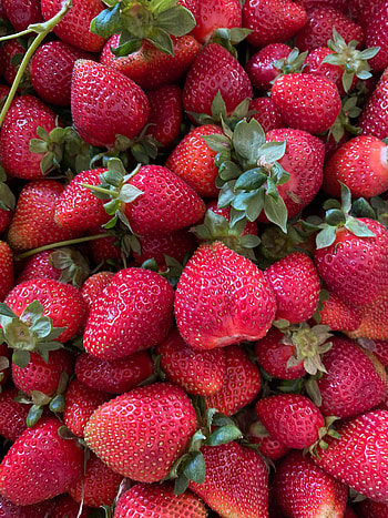 Fruits, Food, Strawberry, Berry HD phone wallpaper