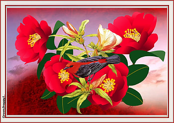 BIRD WITH CAMELLIAS, FLOWER, ART, BIRD, ABSTRACT HD wallpaper