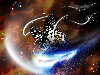 FAIRY BUTTERFLY, animal, colorful, butterflu, streamers HD wallpaper