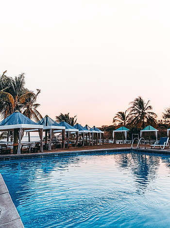 Palms, Miscellanea, Miscellaneous, Relaxation, Rest, Tropics, Pool HD phone wallpaper