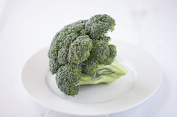 Close-up of a fresh broccoli floret on a white plate, showcasing its vibrant color. HD wallpaper