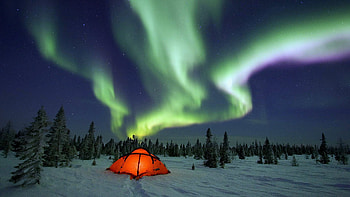 Snow, Camping, Tent, , Aurora Borealis, Light, Sky, Starry Sky, Winter HD wallpaper