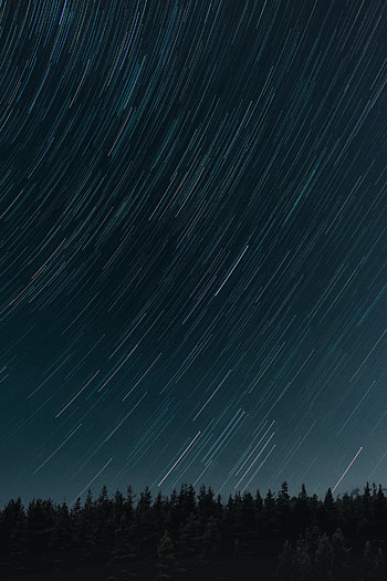 Stars, Night, Dark, Forest, Traffic, Movement, Long Exposure HD phone wallpaper