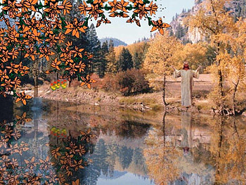 Reflections of Love 6, cross, fall, trees, jesus, autumn, christ, christian, water HD wallpaper