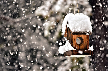 Birdhouse in Winter, Birdhouse, Winter, pretty, Snow HD wallpaper