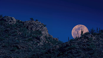 Moon Appears In The Night Sky, moon, sky, night, nature HD wallpaper
