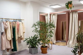 Stylish boutique interior showcasing elegant garments on rack with green plants. HD wallpaper
