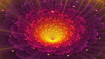 Fractal, flower, pink glow HD wallpaper