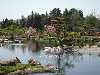 Van Nuys Japanese Garden 1, japanese, van nuys, garden, water, tree HD wallpaper