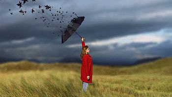Women Umbrella Art, women, umbrella, art, graphy HD wallpaper