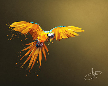 Macaw Low Poly Digital Art , parrot, macaw, birds, artist, artwork, digital-art HD wallpaper