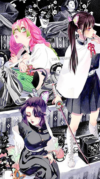 Demon slayer gals, eye, hair, white, shinobu, black, purple, kanae, mitsuri HD phone wallpaper