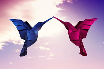 The-Kiss, birds, , cool, flying HD wallpaper
