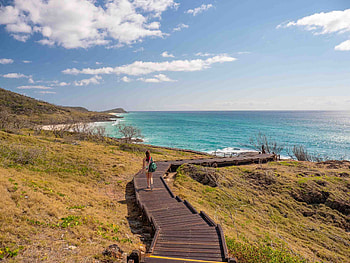 Conservation adventure, Wildlife Fraser Island, League, Travels HD wallpaper