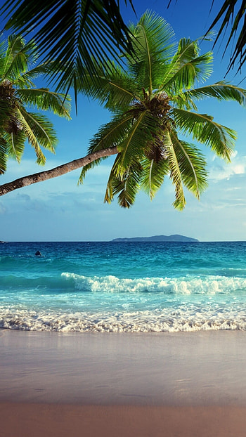 Island, Tropical island mobile , Serene beauty, Tropical escape HD phone wallpaper