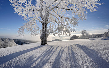 Beautiful View, blue, snow, view, sky, beautiful, nature, mountains HD wallpaper