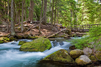 Forest River, bridge, r, water, stones HD wallpaper