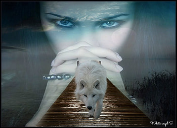 lady and wolf, eyes, face, wolf, fantasy HD wallpaper