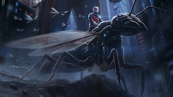 movie, Ant-Man HD wallpaper