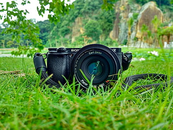 Camera with Carl Zeiss lens on grass, surrounded by nature and vibrant greenery. HD wallpaper