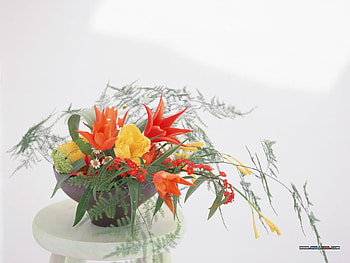 Oh I'm So Lovely, white, flowerscolours, bouquet, stems, florals, mixture, variety, stool, spring, gardens, background, leaves, pretty, cuts, bowl HD wallpaper