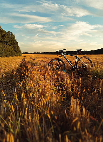 Grass, Sky, Horizon, Miscellanea, Miscellaneous, Field, Bicycle HD phone wallpaper