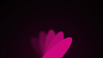 Flower Minimal Dark Blur, flowers, blur, dark, black, oled HD wallpaper