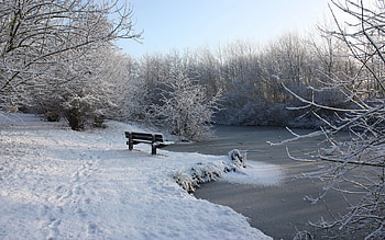 Winter, Nature, Ice, Snow, Lake, Branches, Frost, Hoarfrost, Bench, Traces HD wallpaper