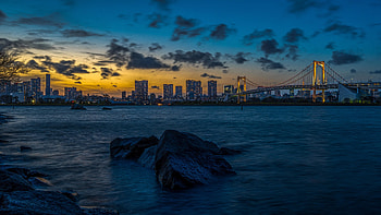 Bridge, cityscape, evening, lights of city, sea HD wallpaper