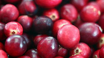 Prehistoric cranberries, Ancient history, Cranberry's tale, Natural wonder HD wallpaper