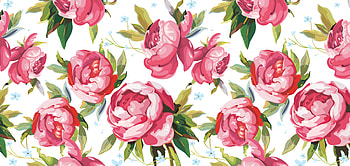 Pattern, summer, rose, pink, white, green, texture, trandafir, vara HD wallpaper
