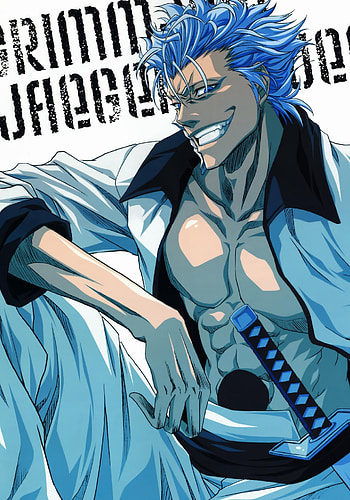 Grimmjow Jaggerjack, Manga series, Character portrayal, Anime art HD phone wallpaper