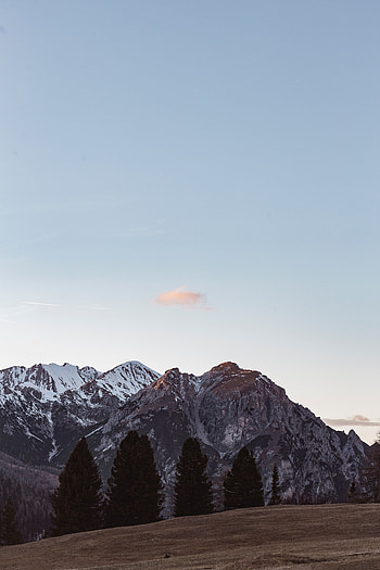 Landscape, Nature, Trees, Mountains, Vertex, Tops, Snow Covered, Snowbound HD phone wallpaper