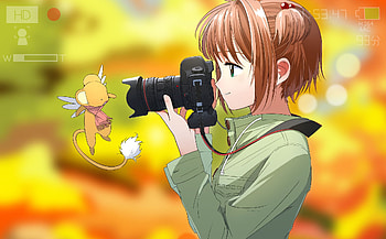 Cardcaptor Sakura, Anime, Keroberos (Card Captor Sakura), Sakura Kinomoto HD wallpaper