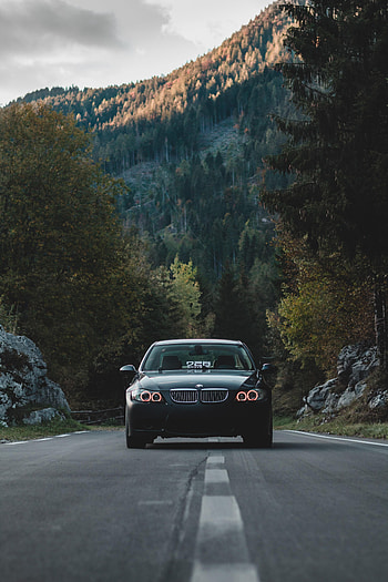 Trees, Cars, Road, Forest, Car, Front View HD phone wallpaper