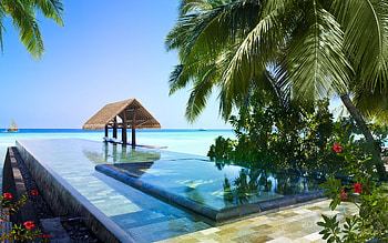 Nature, Sea, Palms, Tropics HD wallpaper