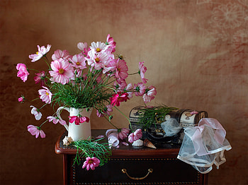 Still life, Flowers, Pitcher, Fabric, Shell HD wallpaper