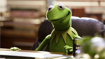 Kermit the Frog , Playful charm, Animated icon, delight HD wallpaper
