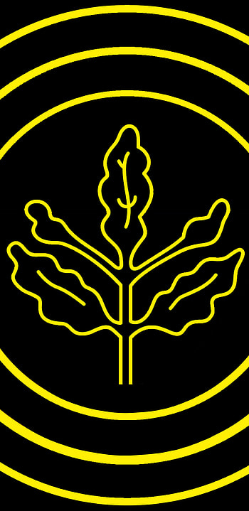 Fenerbahçe, symbol, art, sports, türkiye, lacivert, neon, turkey, sarı, palamut, fenerbahce HD phone wallpaper