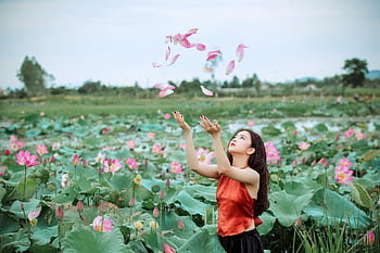 An adult woman in a vibrant lotus garden enjoying falling petals on a sunny day. HD wallpaper