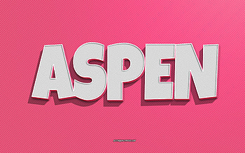 Aspen, pink lines background, with names, Aspen name, female names, Aspen greeting card, line art, with Aspen name HD wallpaper