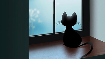 Cat Window Dreams, cat, artist, artwork, digital-art, deviantart HD wallpaper