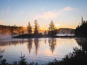 Lake Reflection Morning Mist Trees Nature , lake, reflection, morning, mist, trees, nature, graphy HD wallpaper
