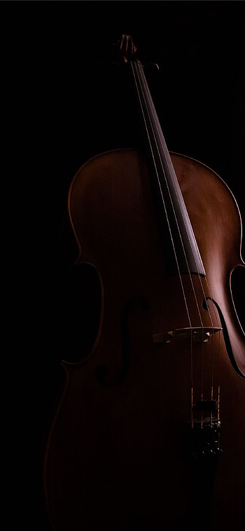 Double bass , Musical themes, backgrounds, Visual music HD phone wallpaper