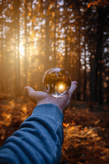 Autumn, Reflection, Hand, Miscellanea, Miscellaneous, Glass, Ball HD phone wallpaper