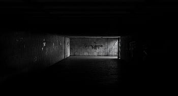 A dimly lit tunnel with graffiti and concrete walls evokes mystery and solitude. HD wallpaper
