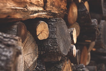 Detailed view of stacked chopped wood showing texture and warmth. HD wallpaper